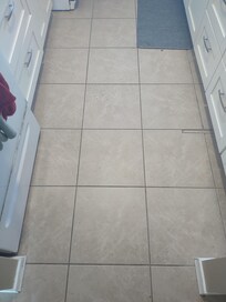 June 17th morning, Kitchen floor. Zoom in to see the bugs.