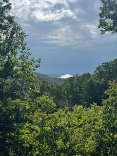 views from the cabin 