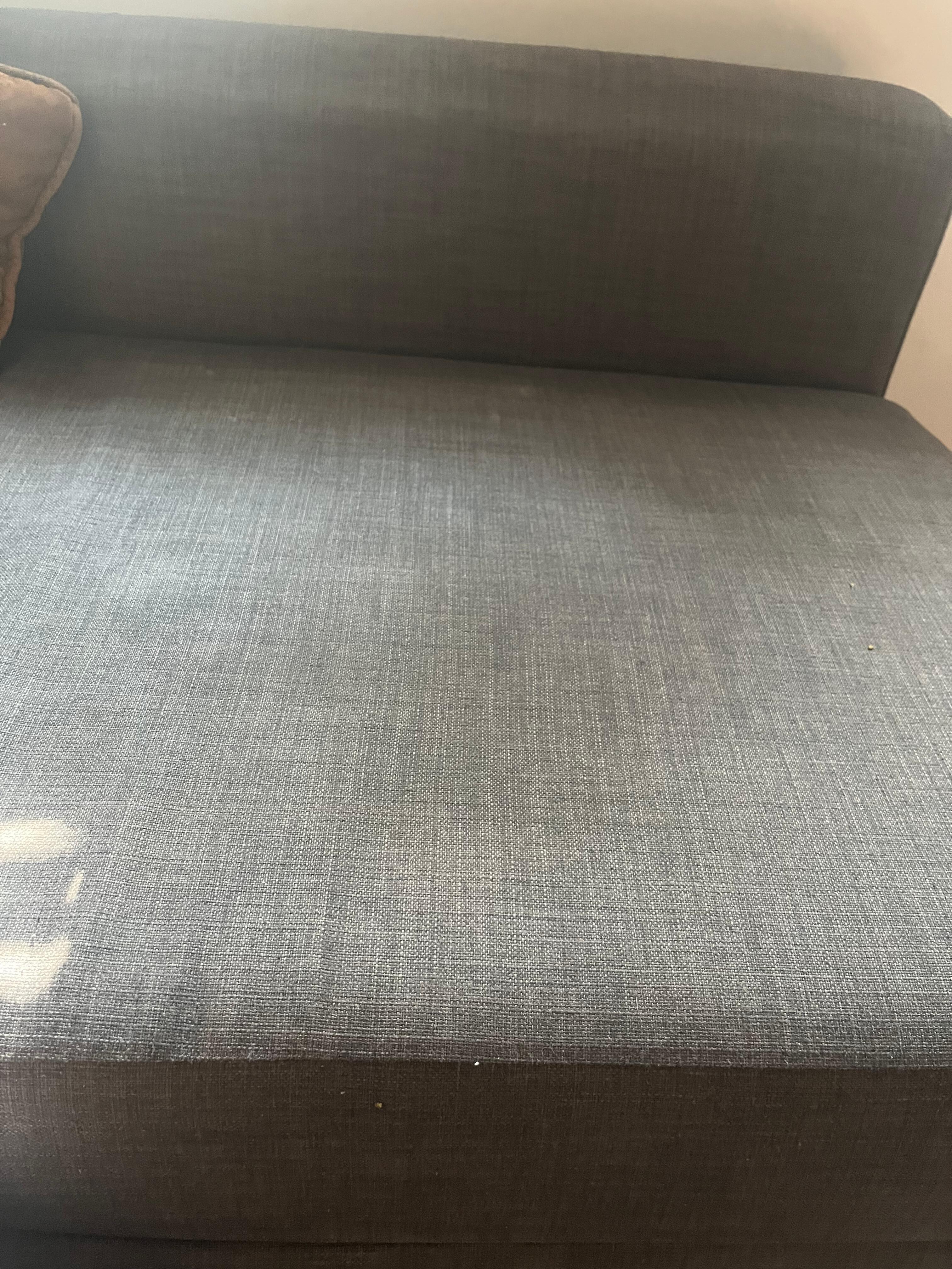 Couch stain that smelled like pee