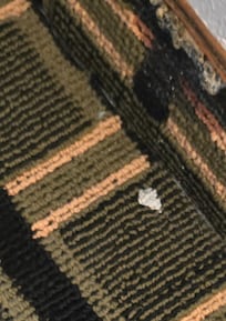 Stained carpet