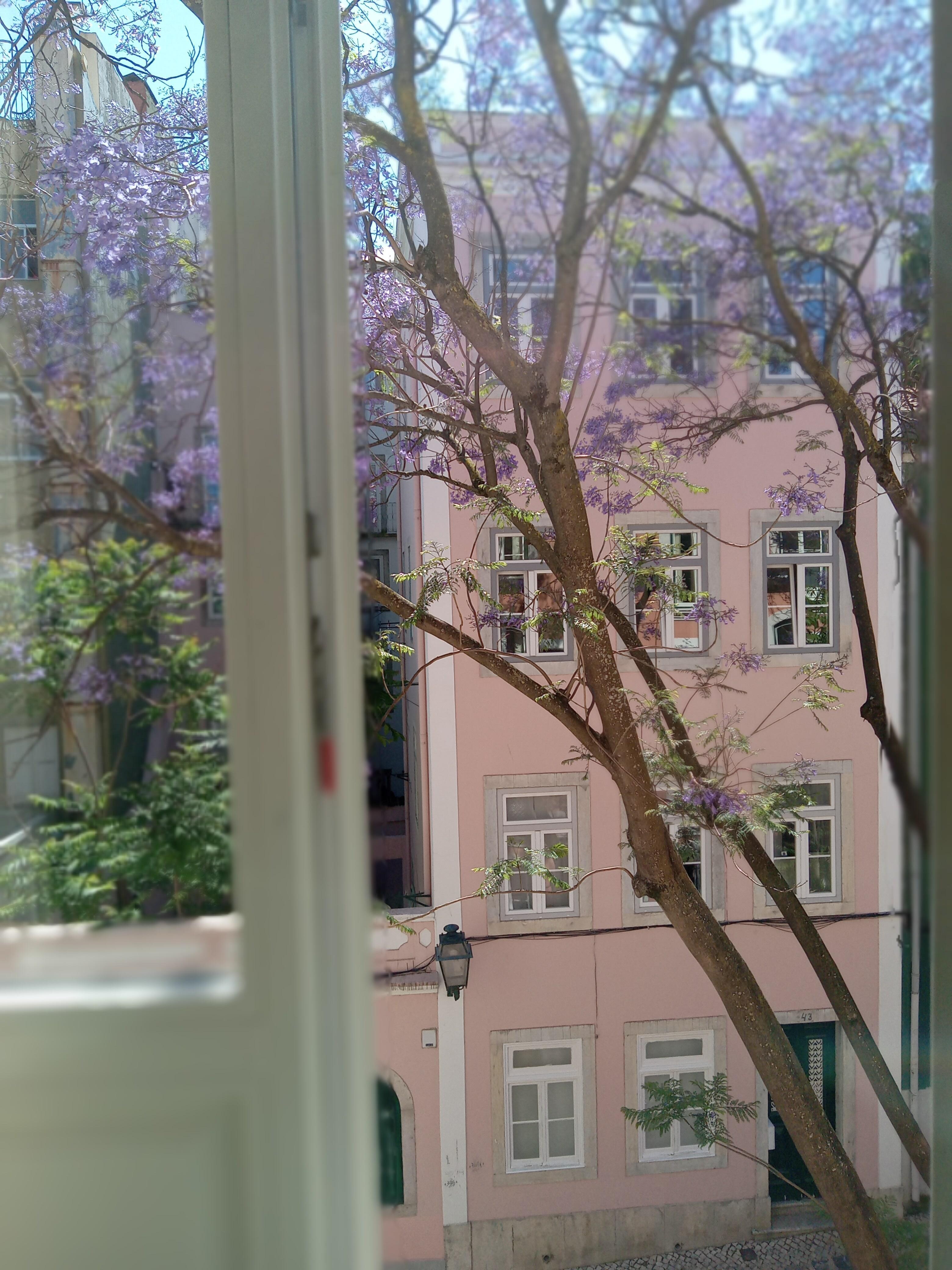 Beautiful out of window view and cool breezes in 30 degree weather