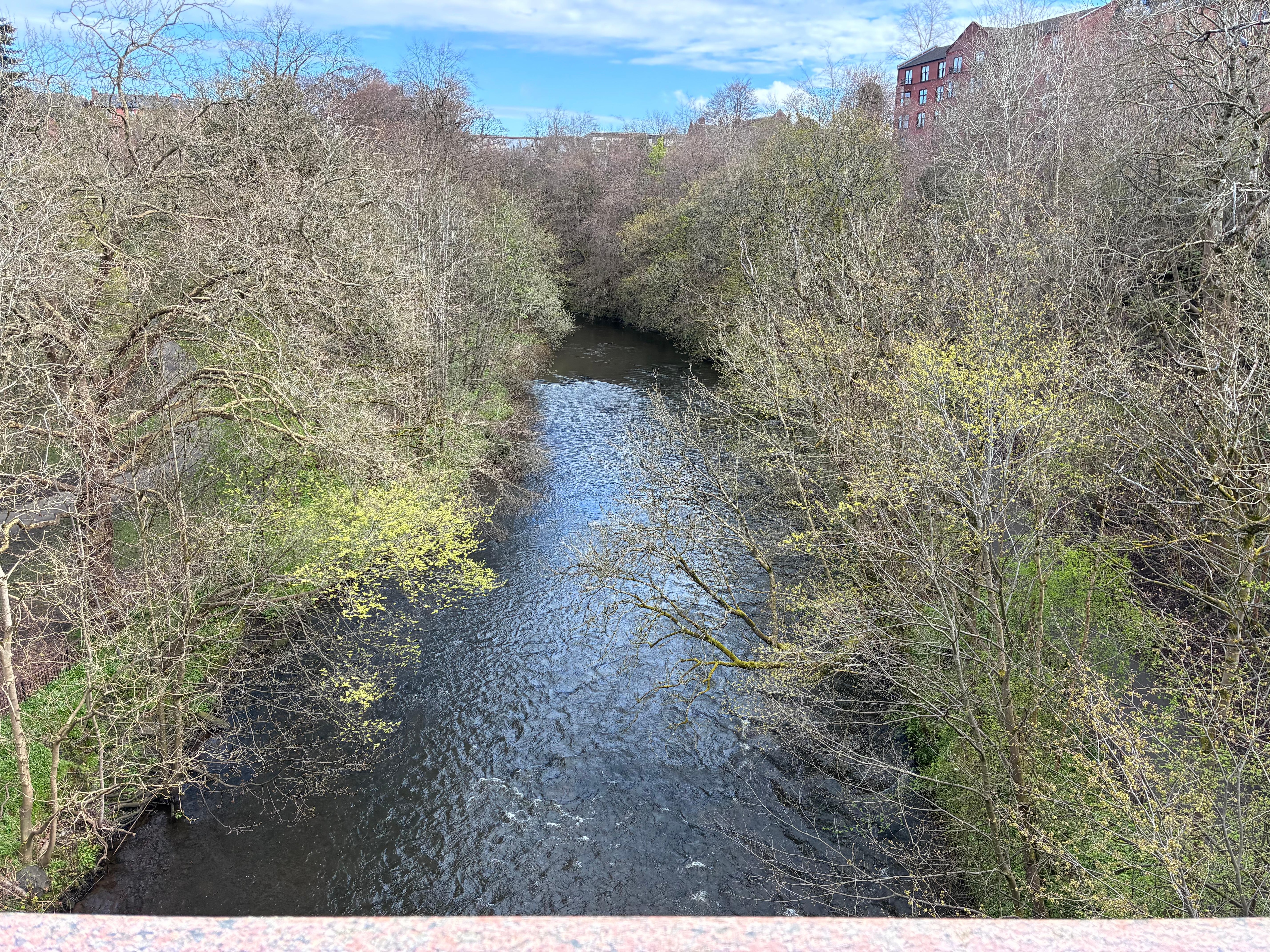 River Kelvin beside the flat