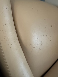 Sillón viejo y roto