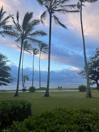 View from patio