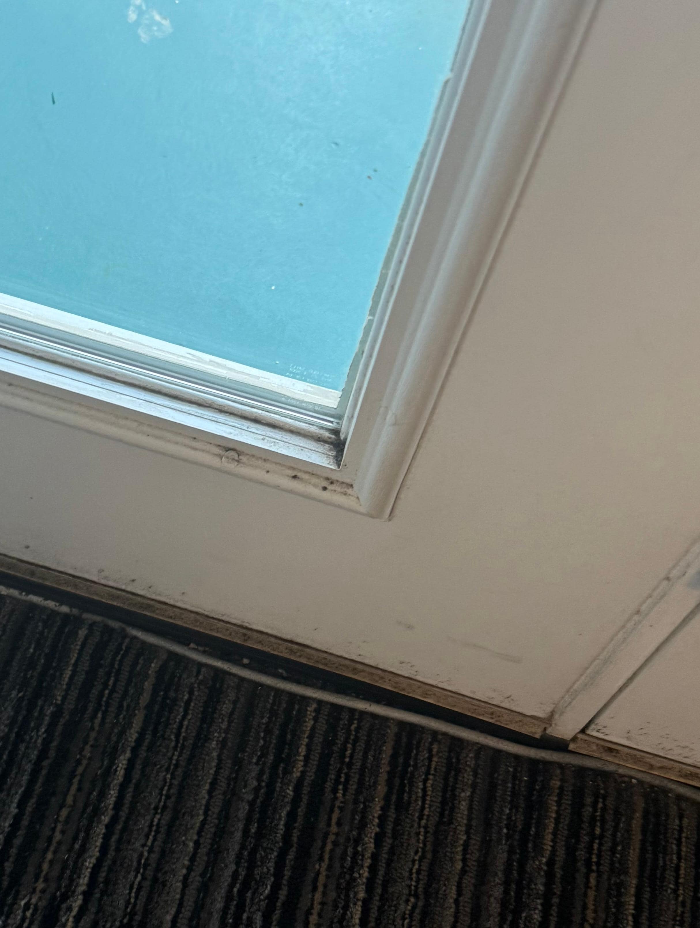 Mold on door seal to patio
