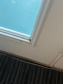 Mold on door seal to patio
