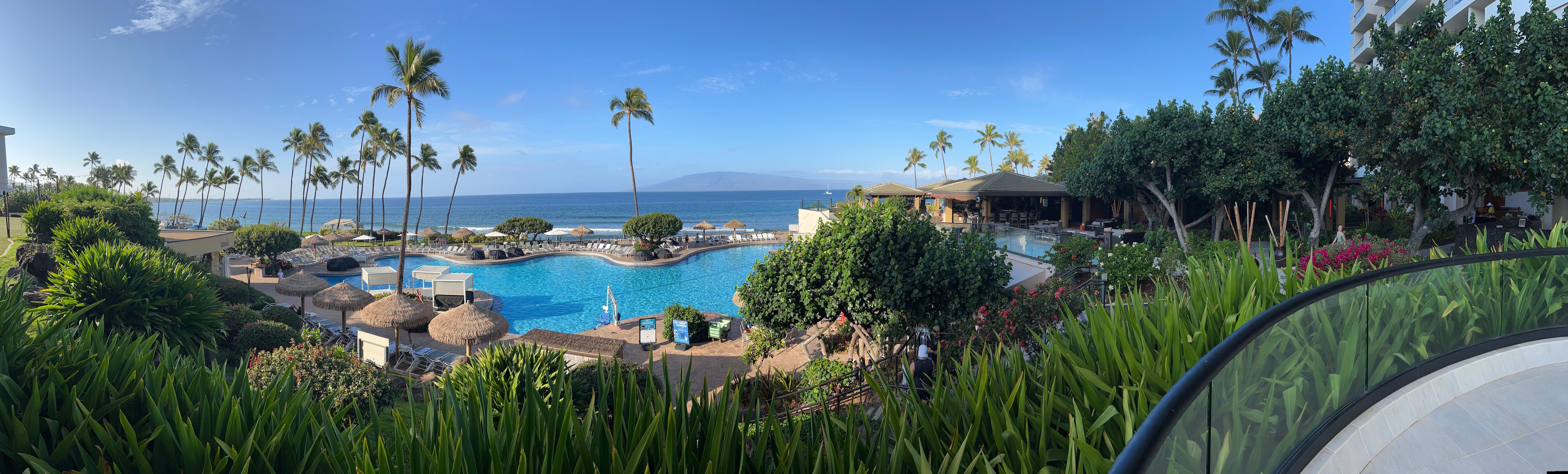 Panoramic from pool overlook next to the penguin enclosure