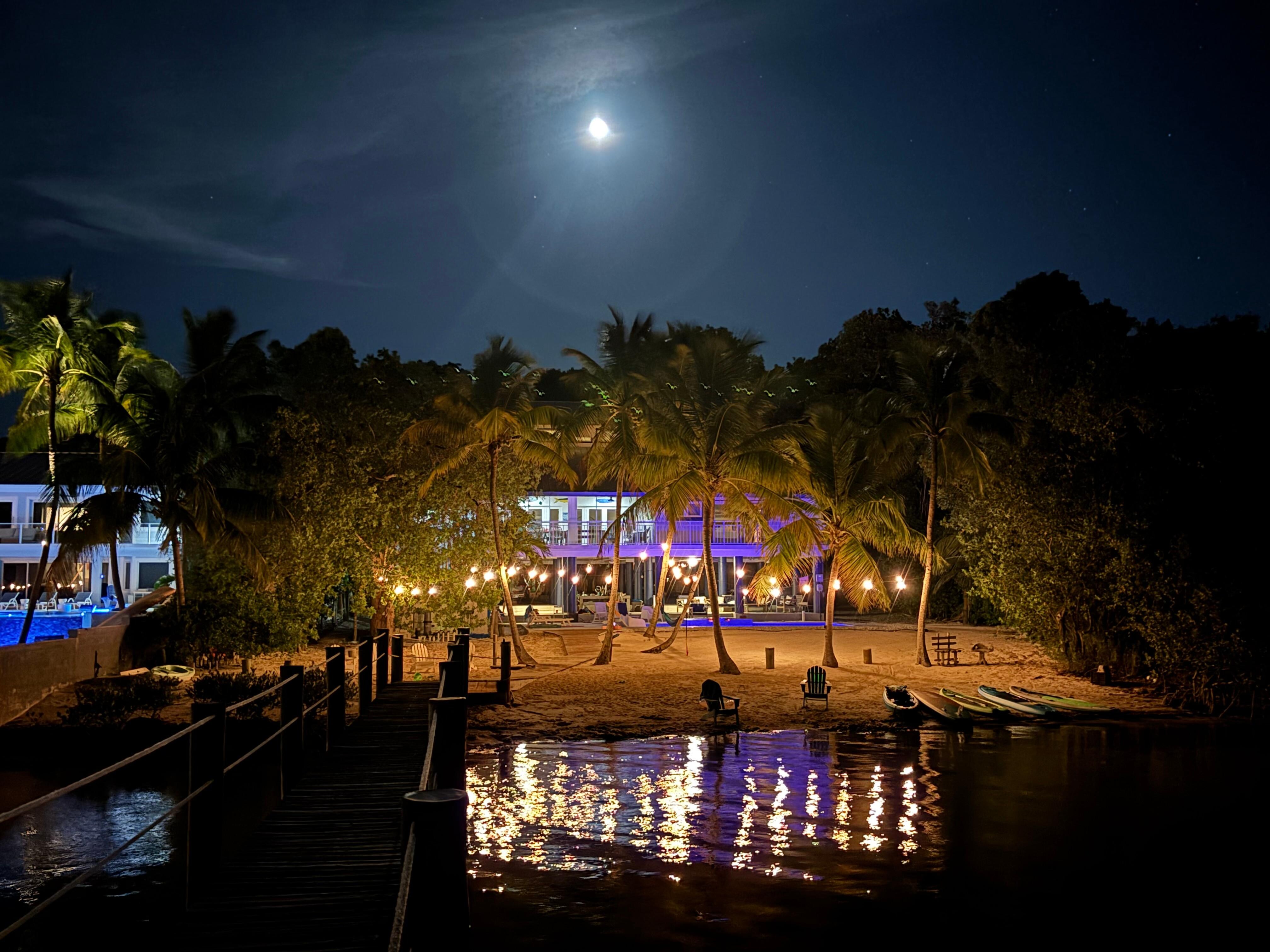 From the dock!