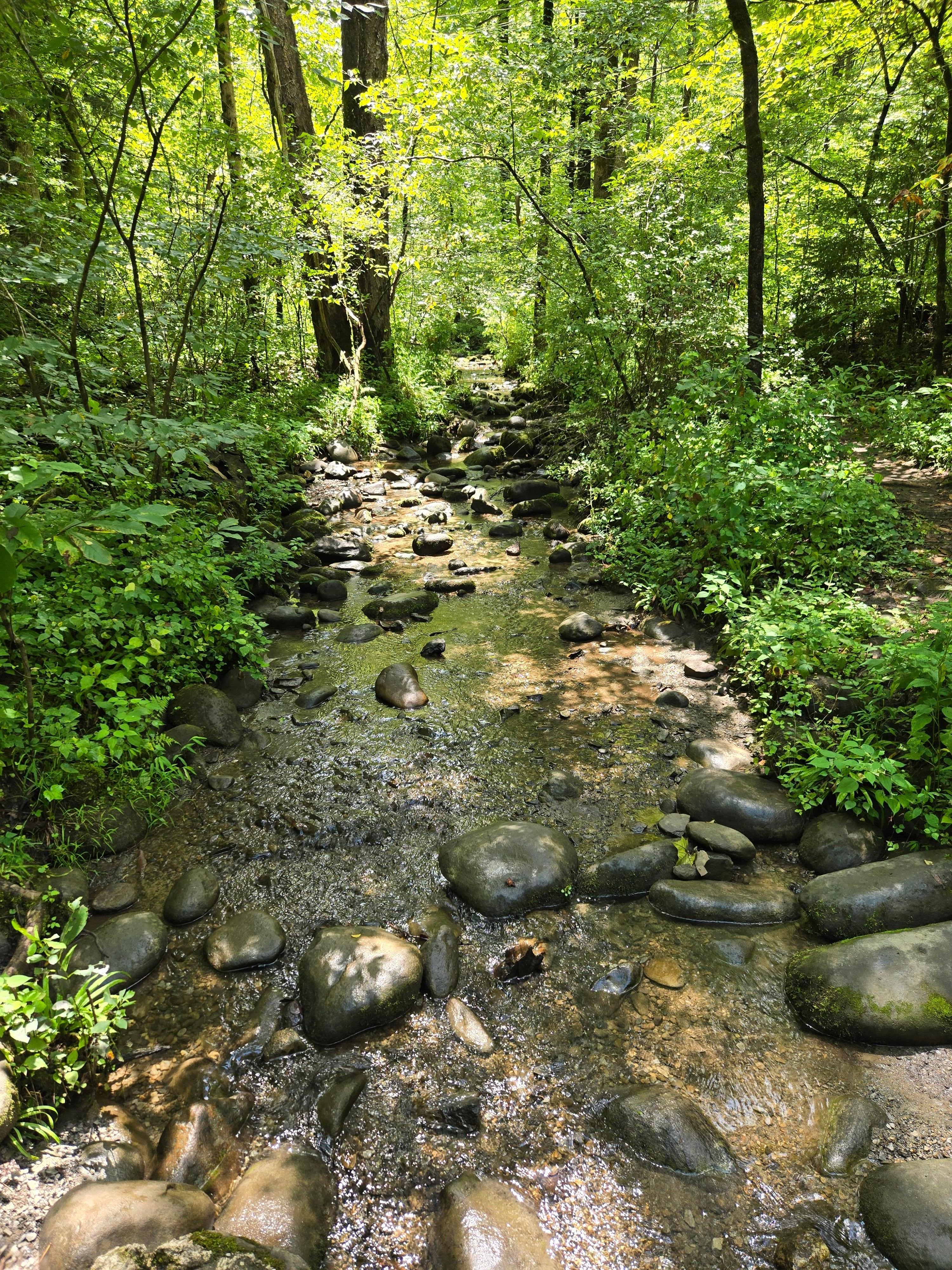 Views from parkway trails.