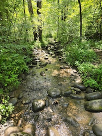 Views from parkway trails.