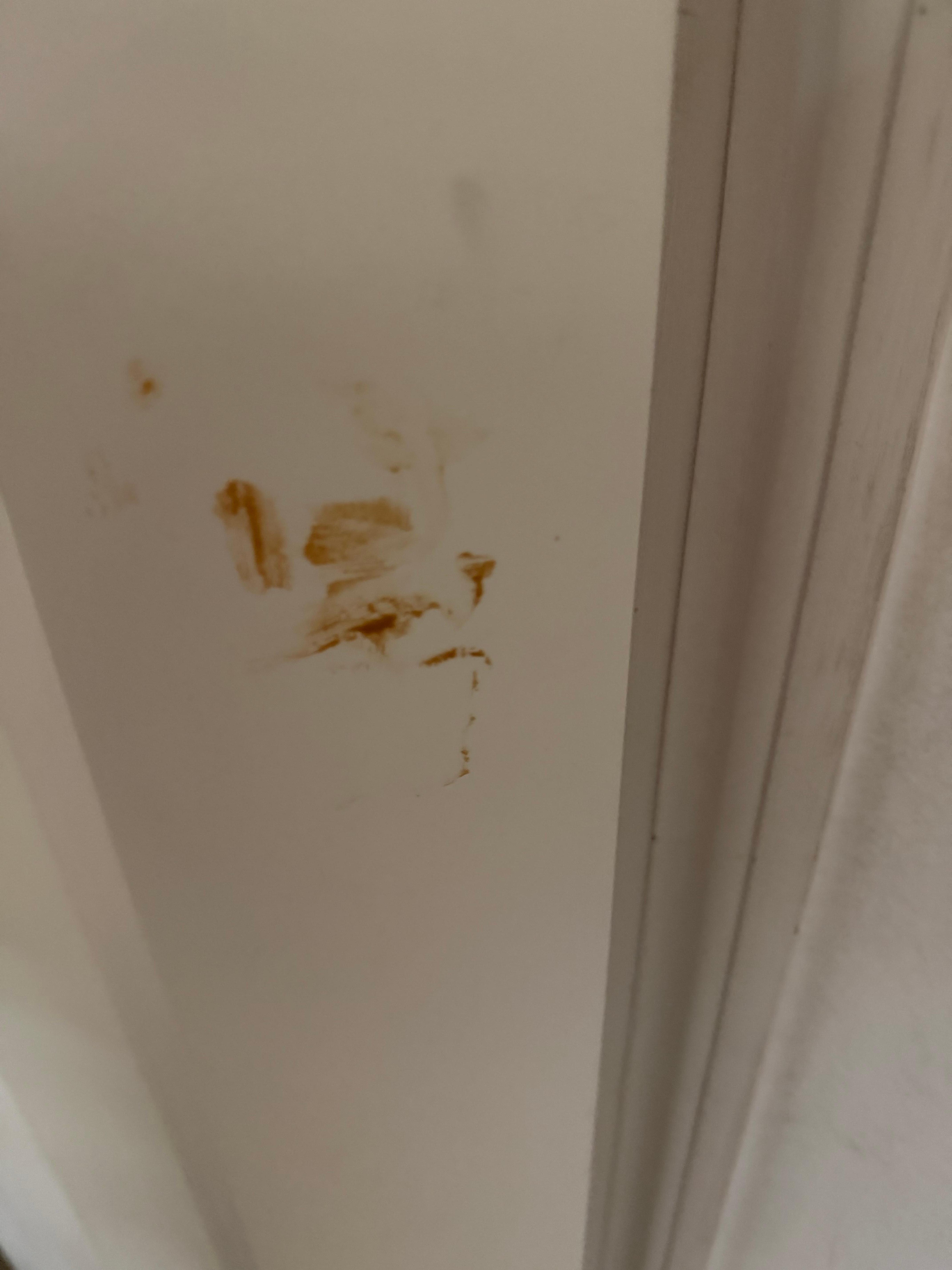 Arrived to stains up the blinds 