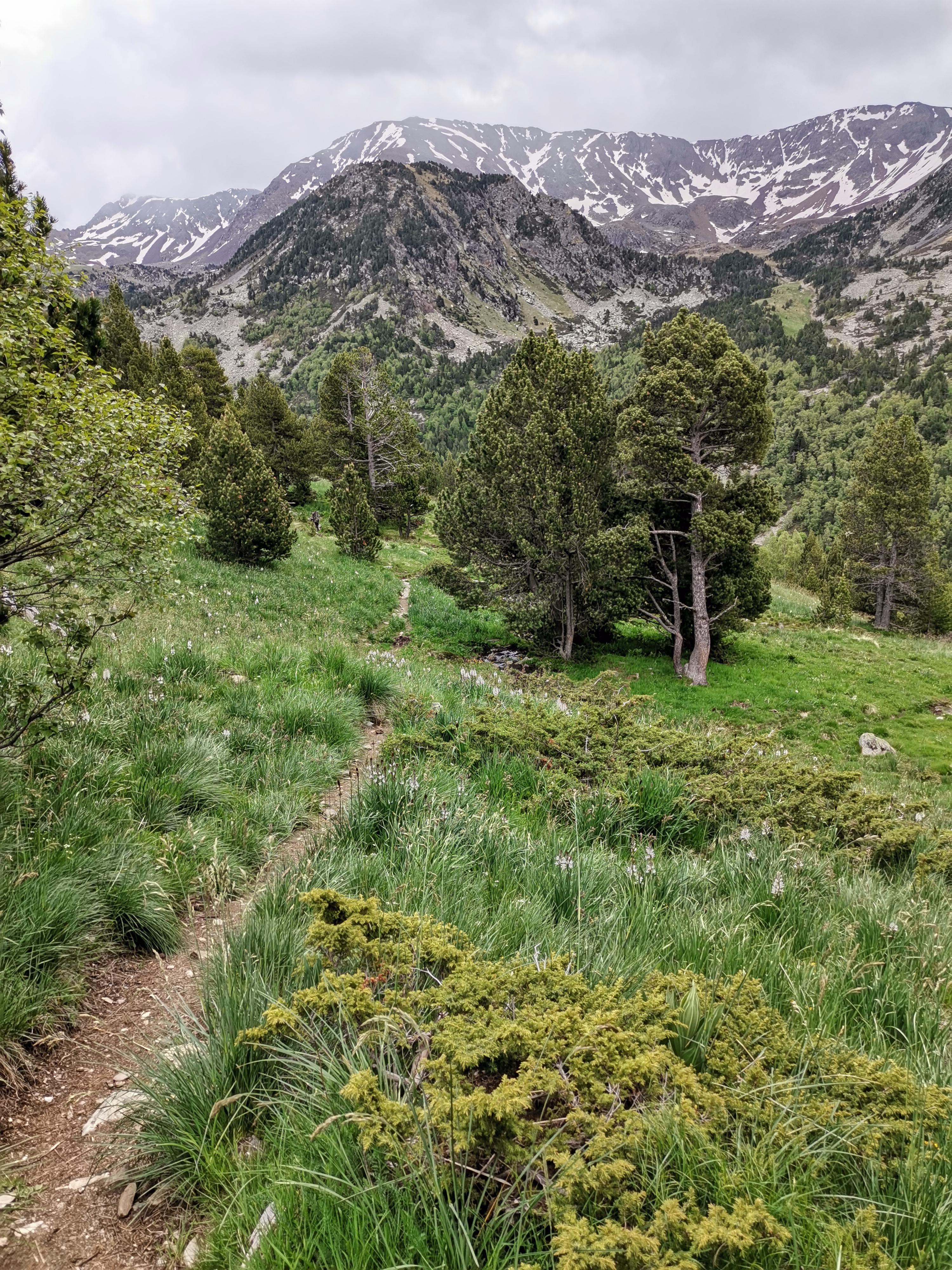 Hiking trail near hotel. 