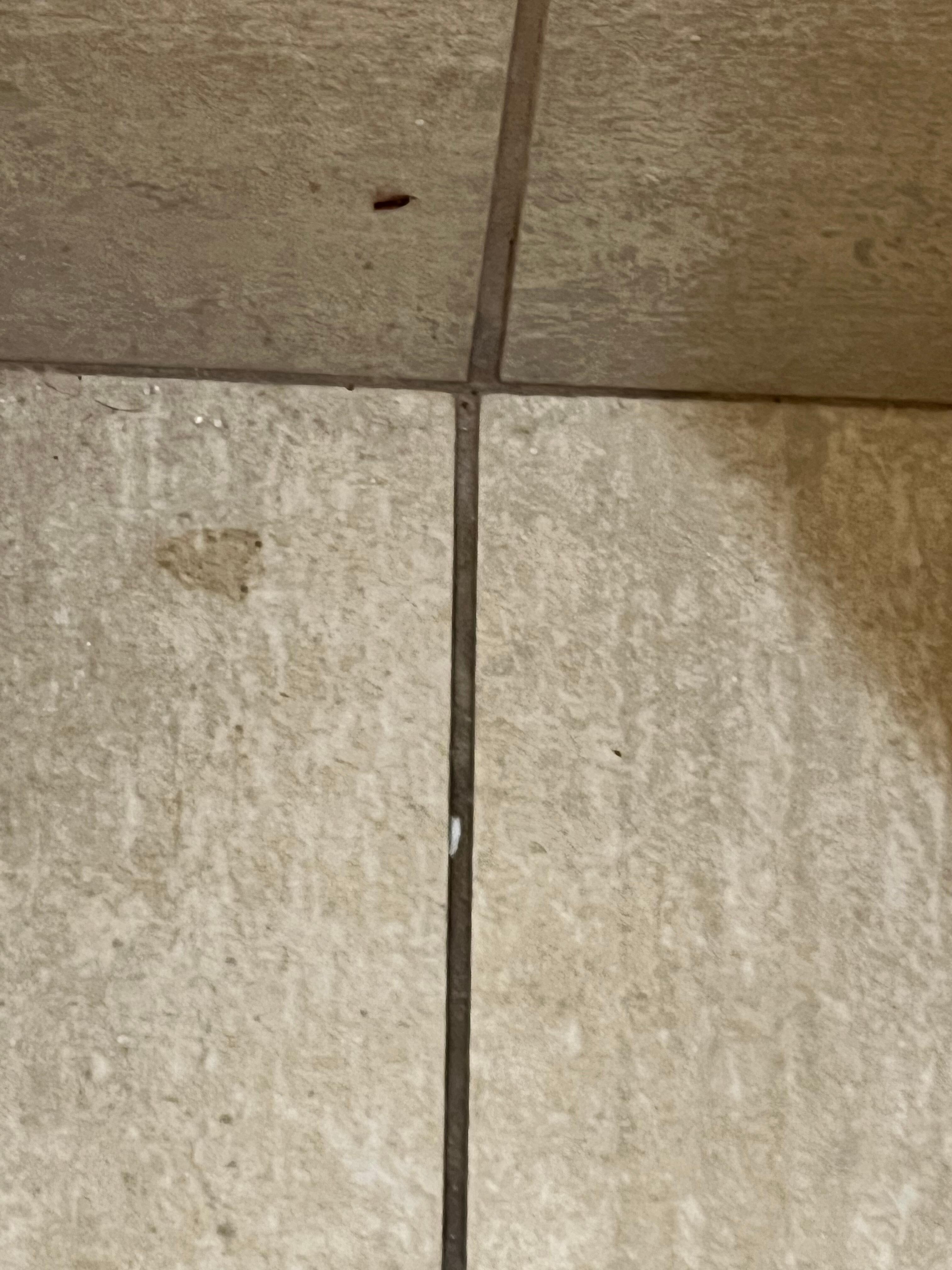 Human toe nails on floor corner and blood stain on bottom wall
