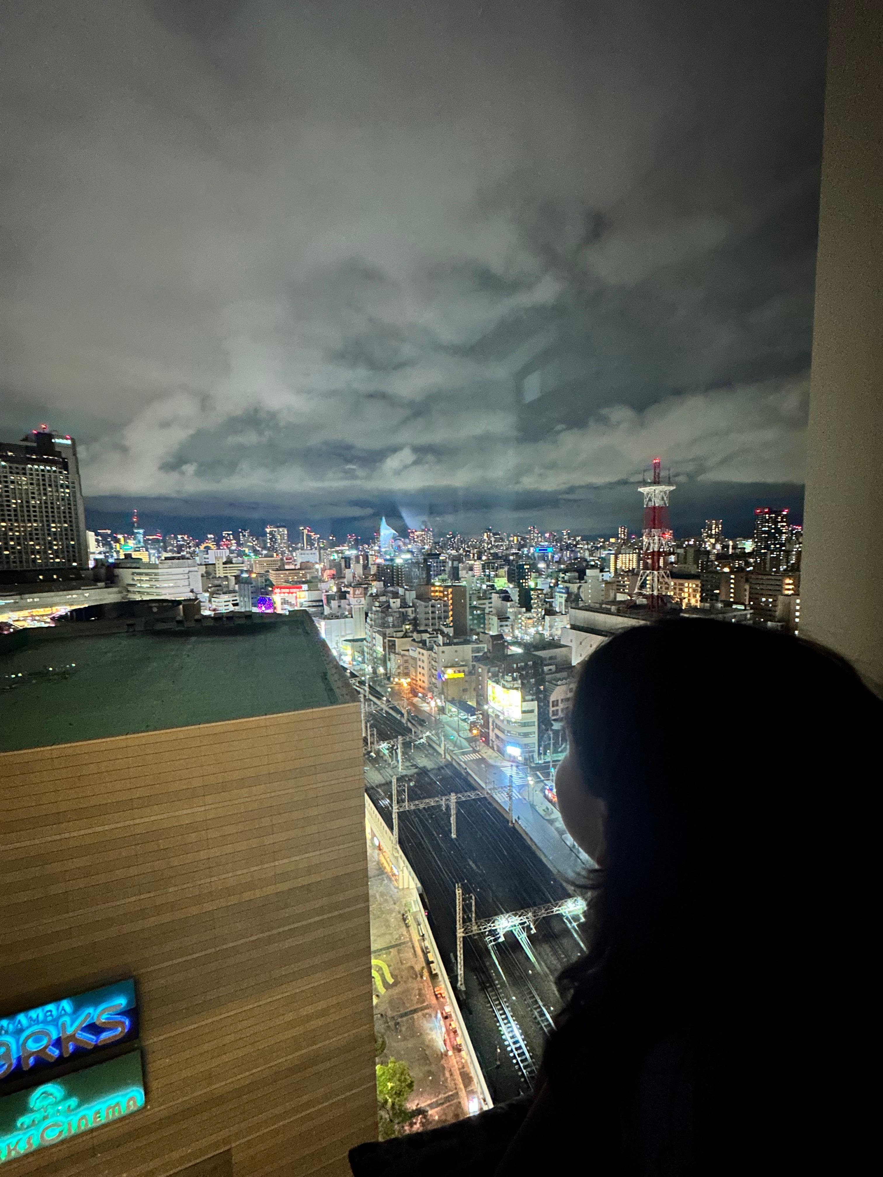 My daughter sat in the window sills the whole time. Mesmerized 