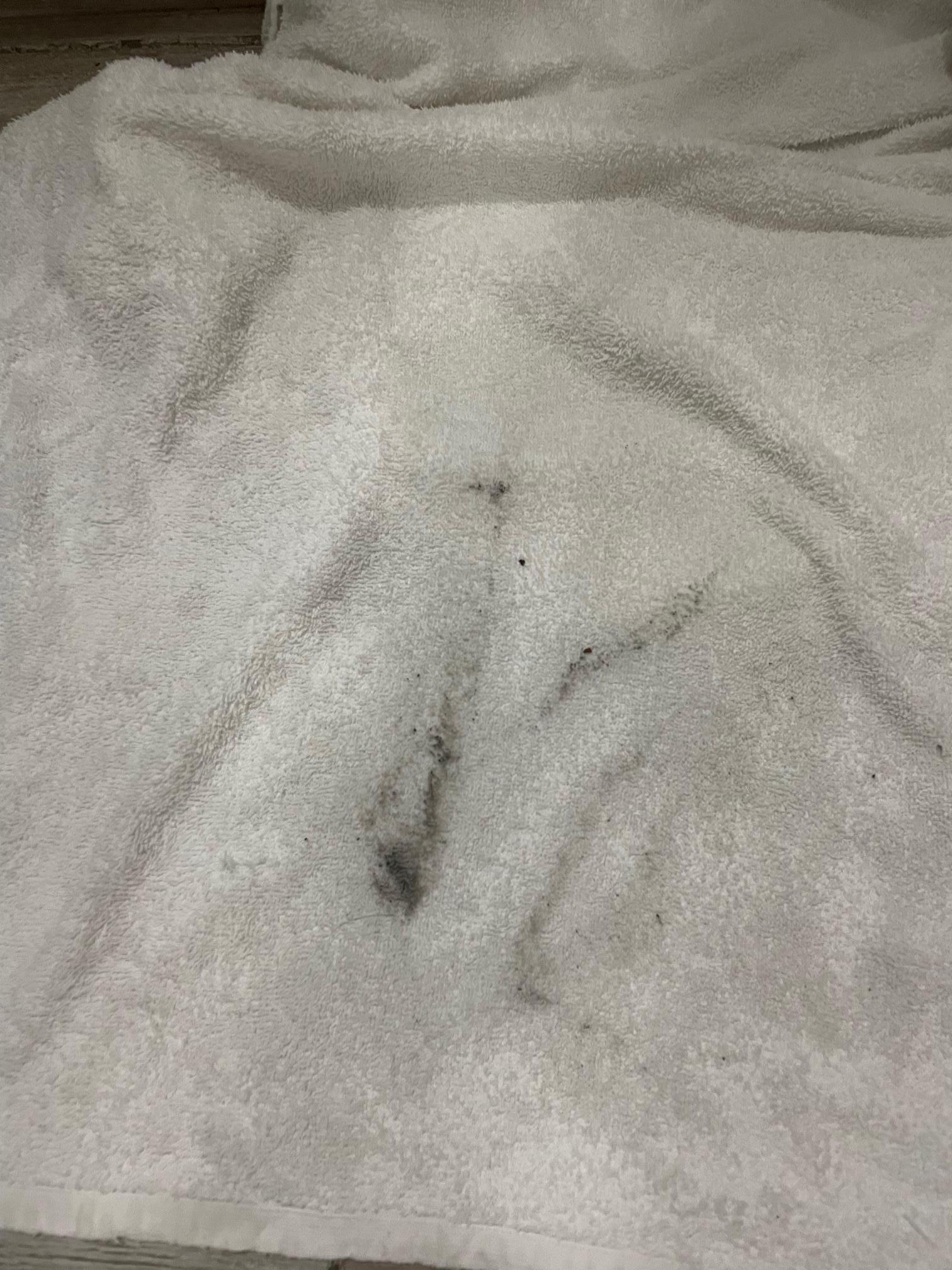 Dirt that was in the shower