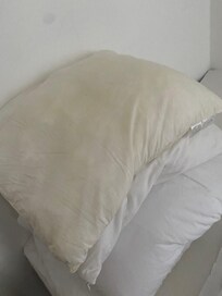 Disgusting pillows