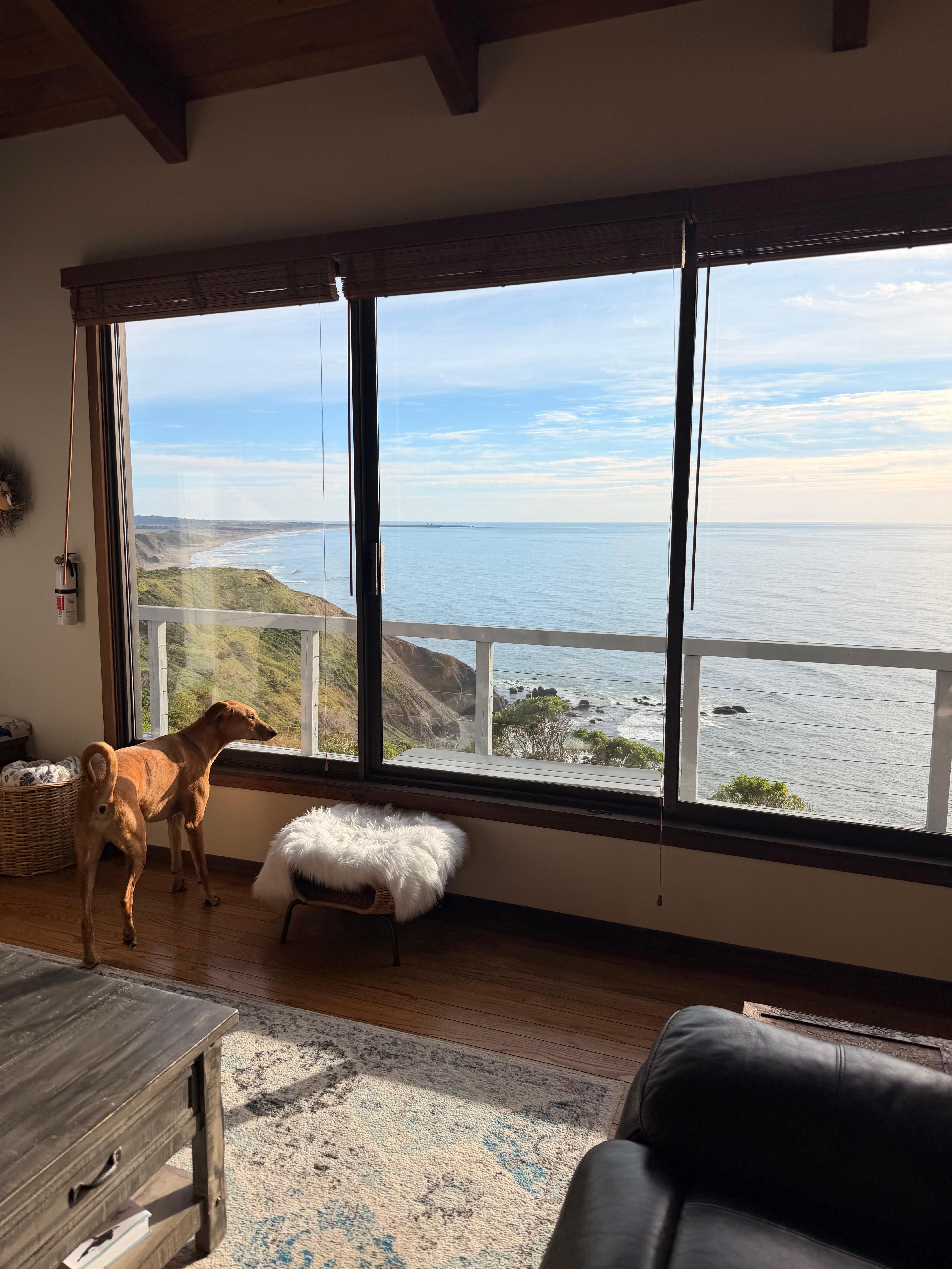 Views from the living room 