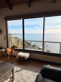 Views from the living room