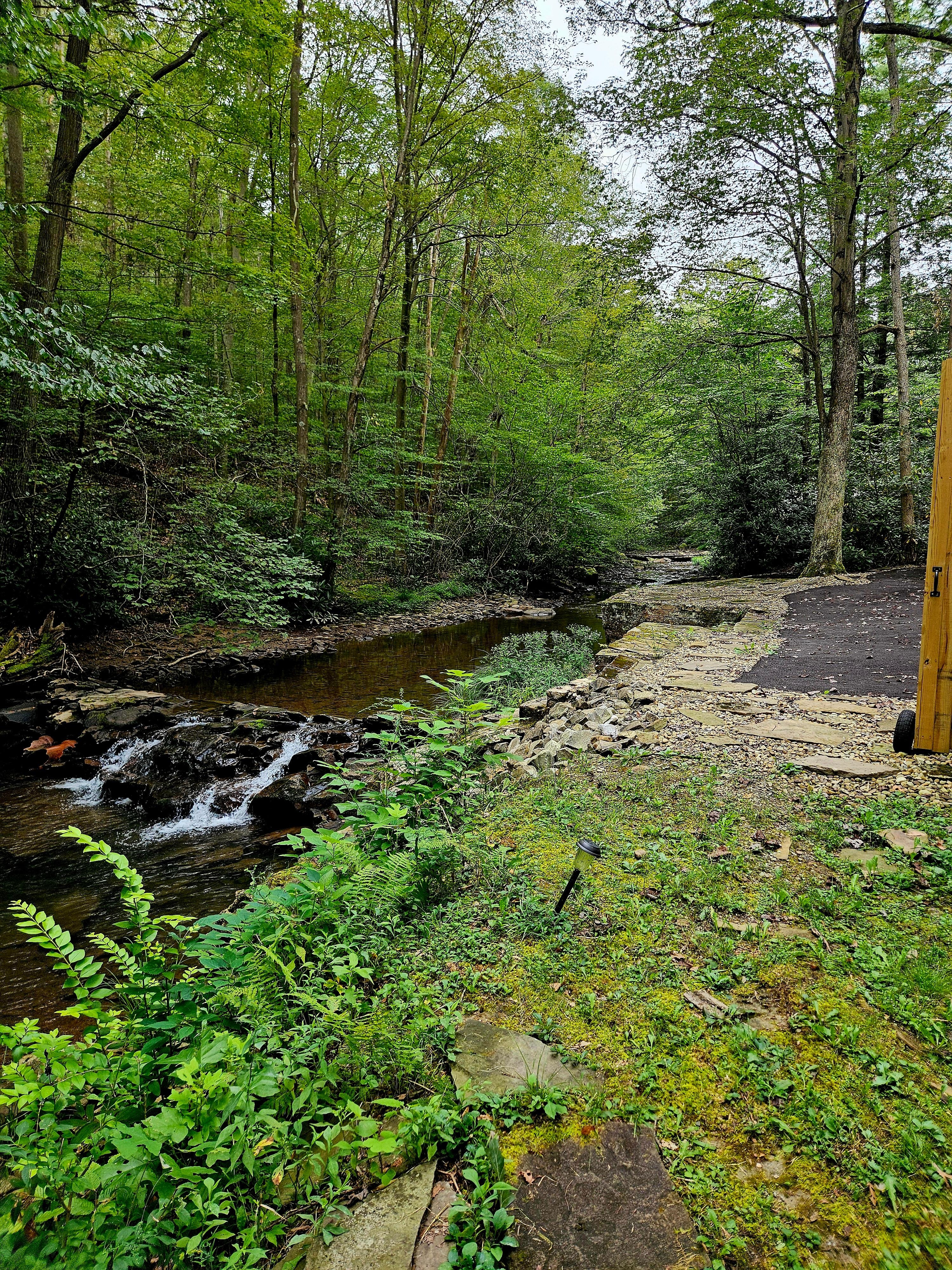 Fall Run Creek, backyard 