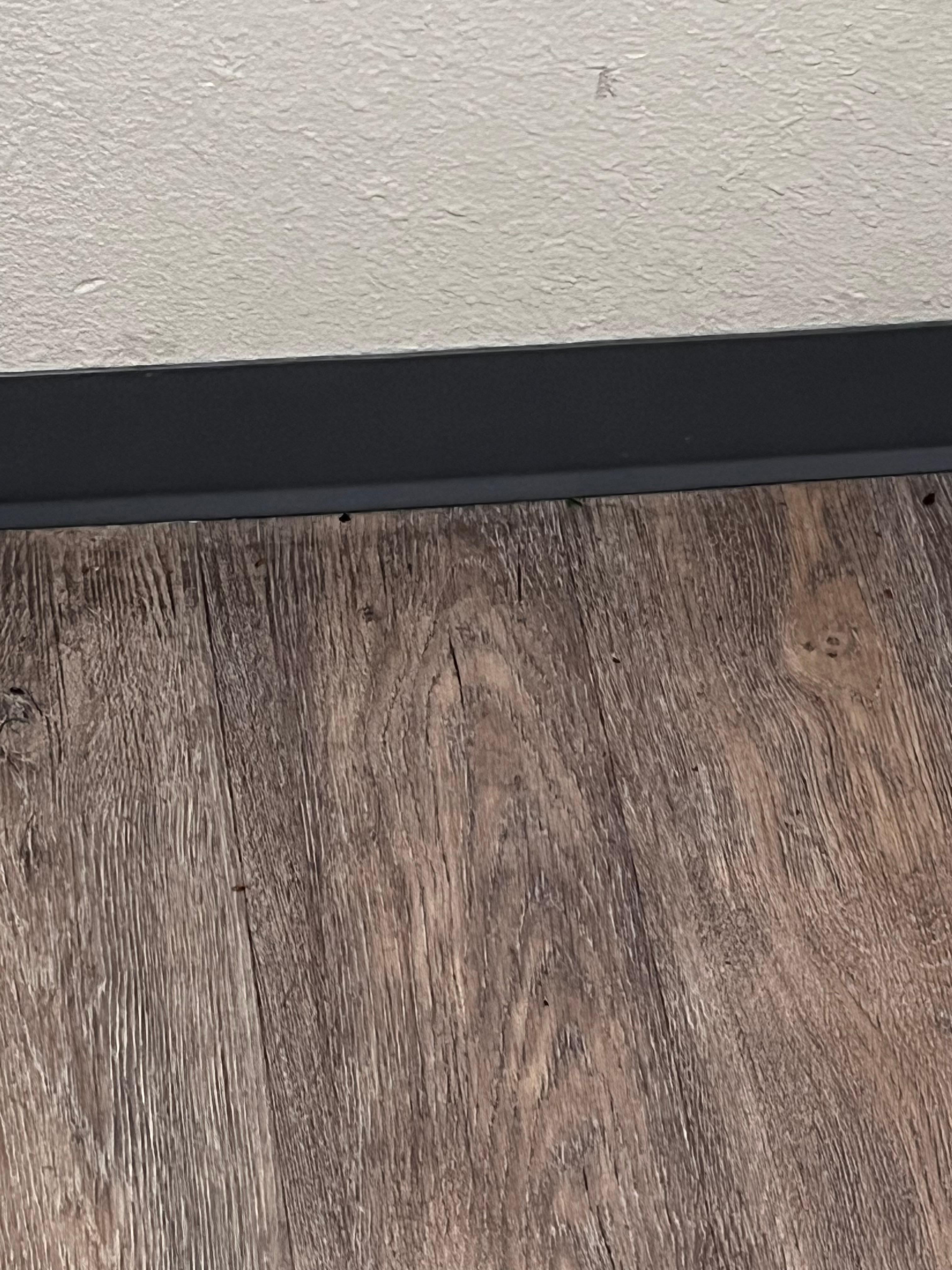 Bugs on the floor and wall