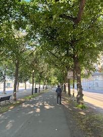 Walking path
