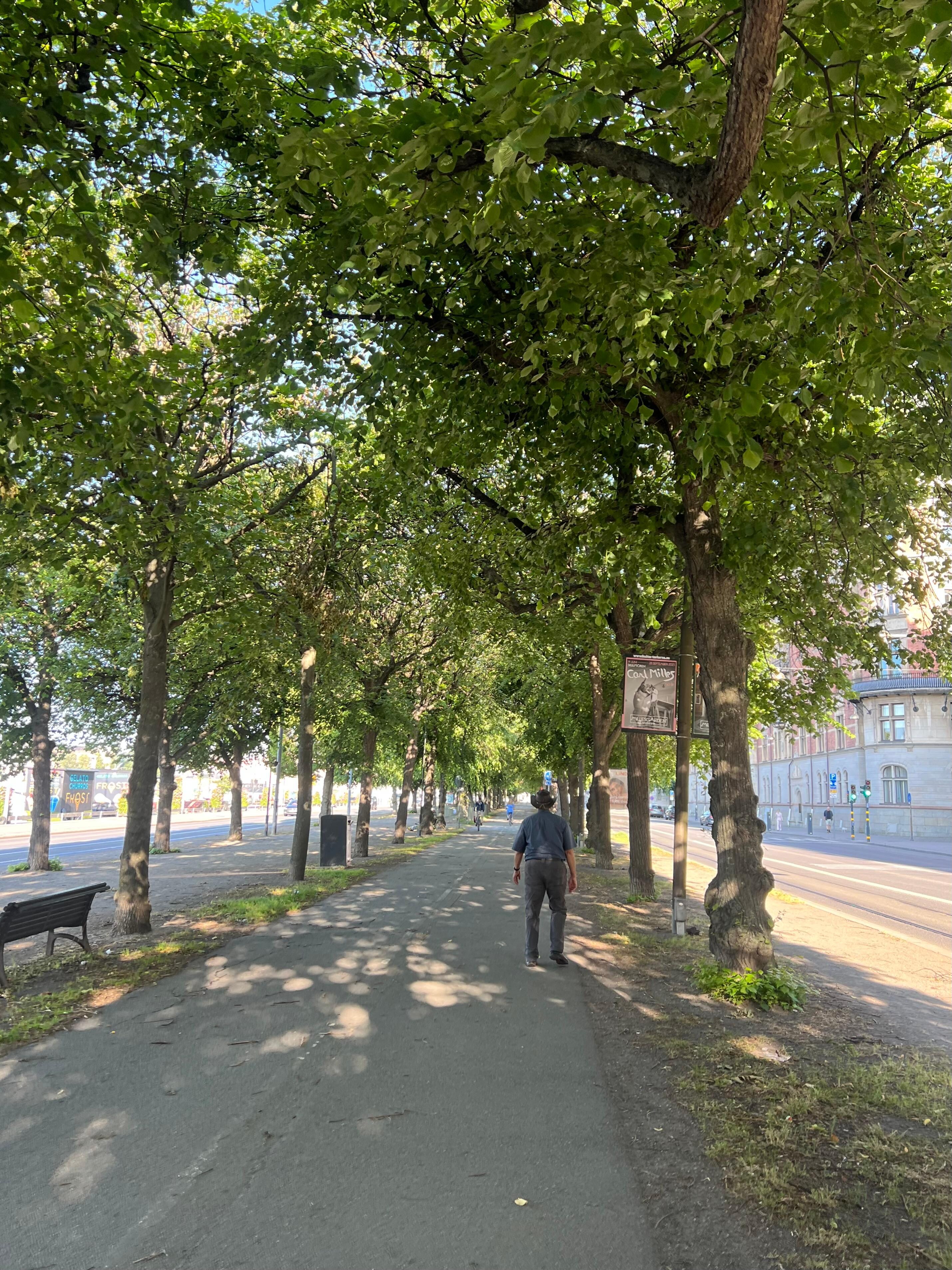Walking path