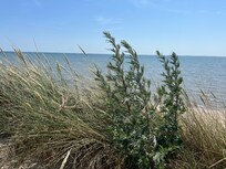 Oststrand 2 min entfernt