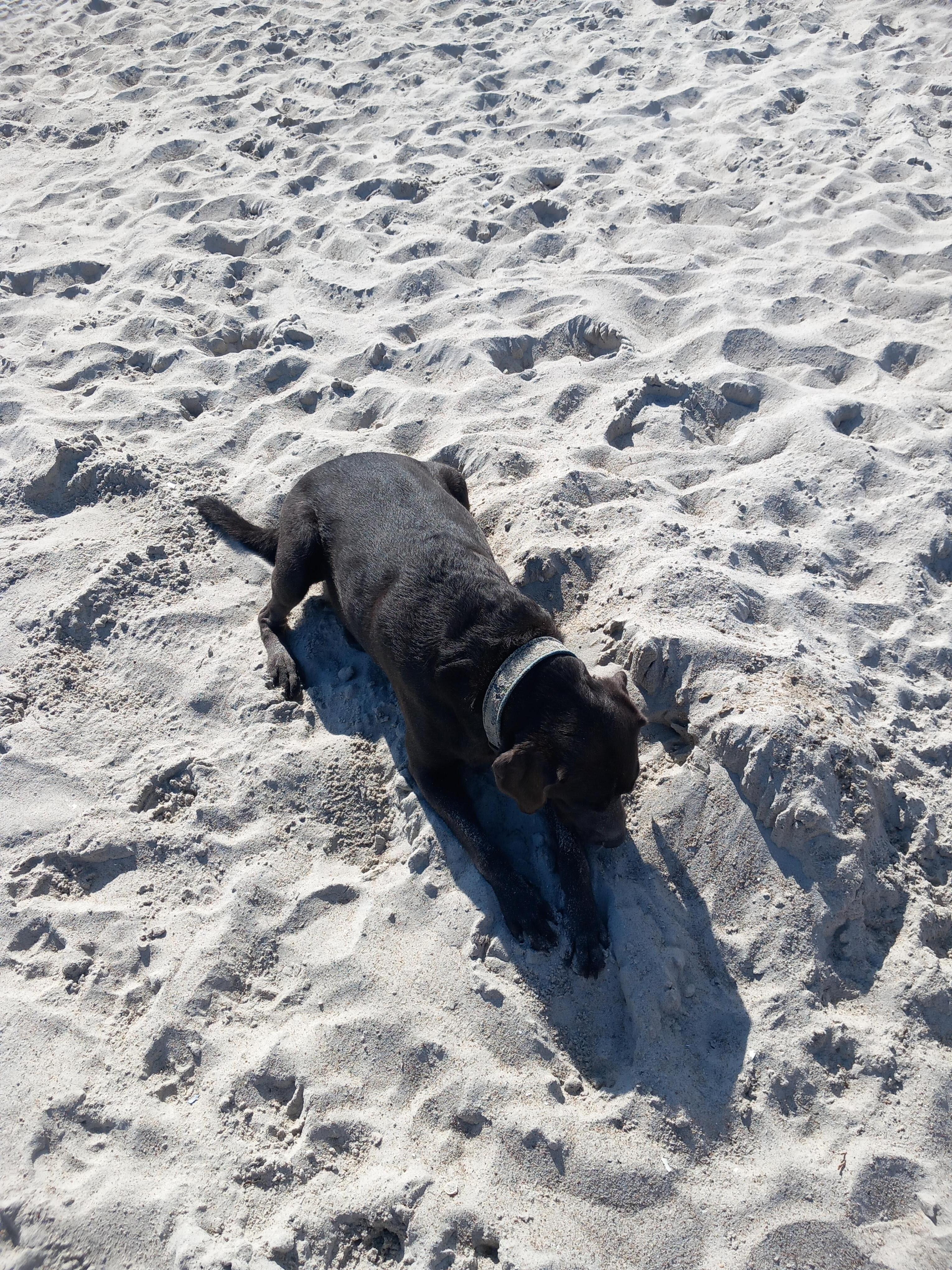 Strand in Scharbeutz 