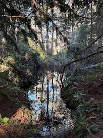 Nature Preserve at property