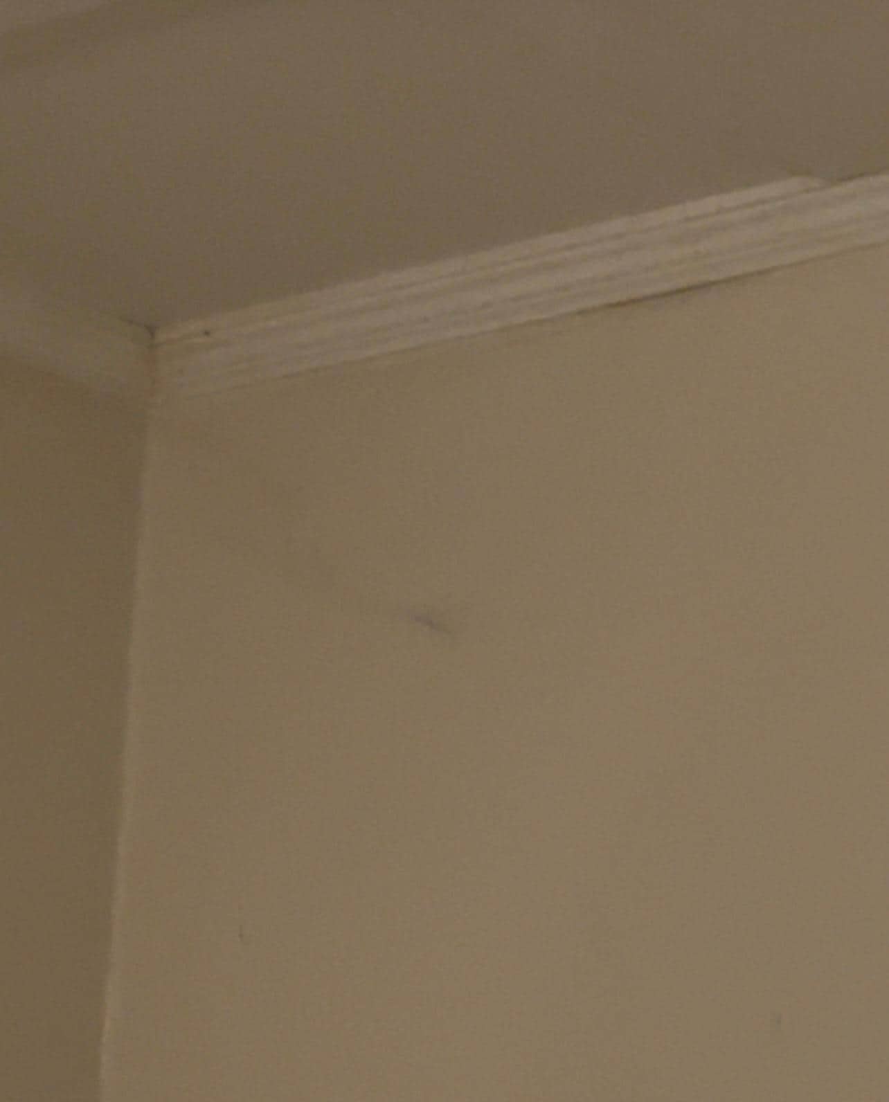 Over your head above the bed.
