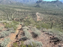 Trail 53