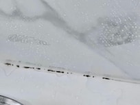 All of that Black along the caulking is mold, and we aren't just talking a little bit. This is along the back wall.