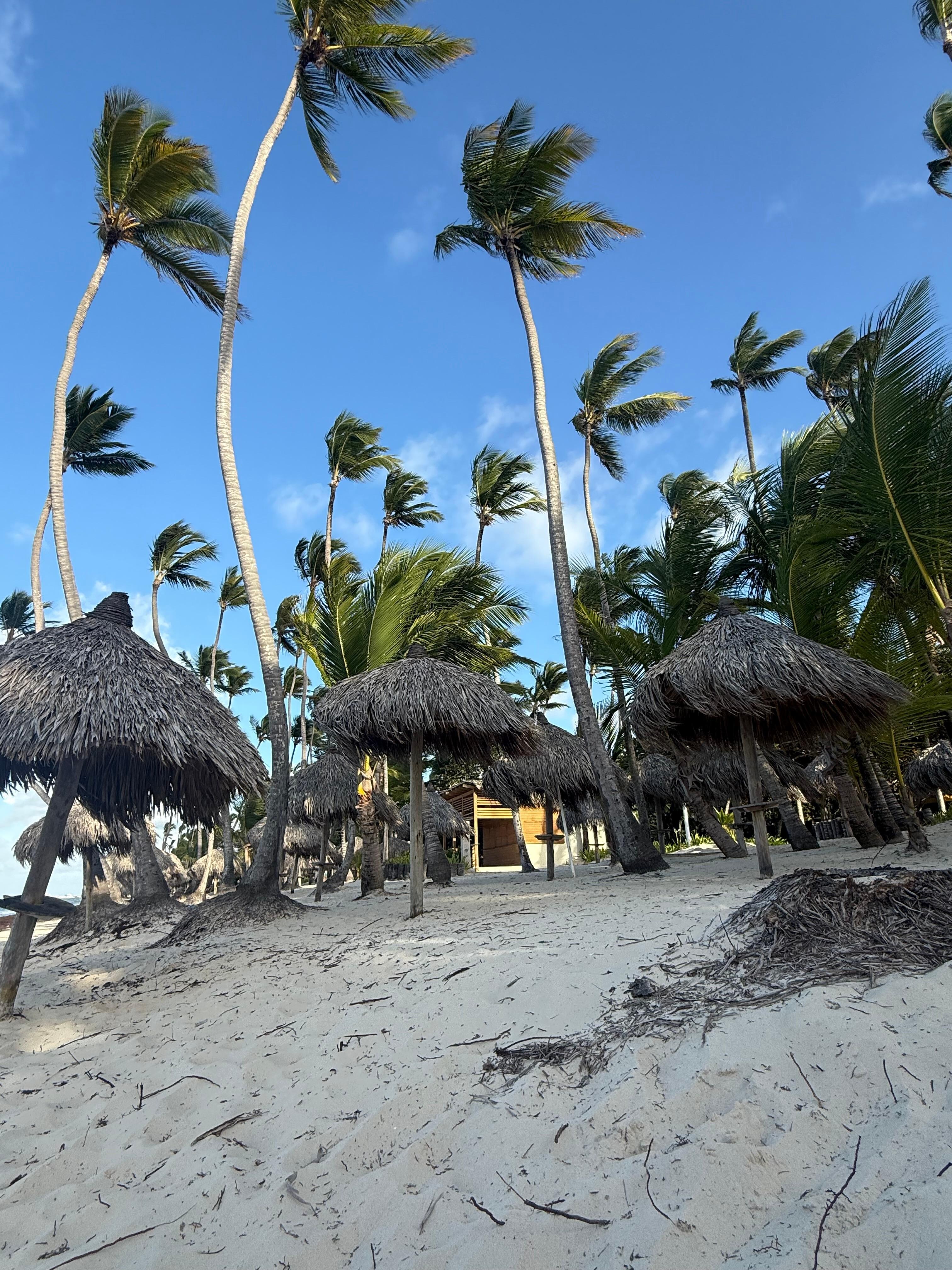 Beach area