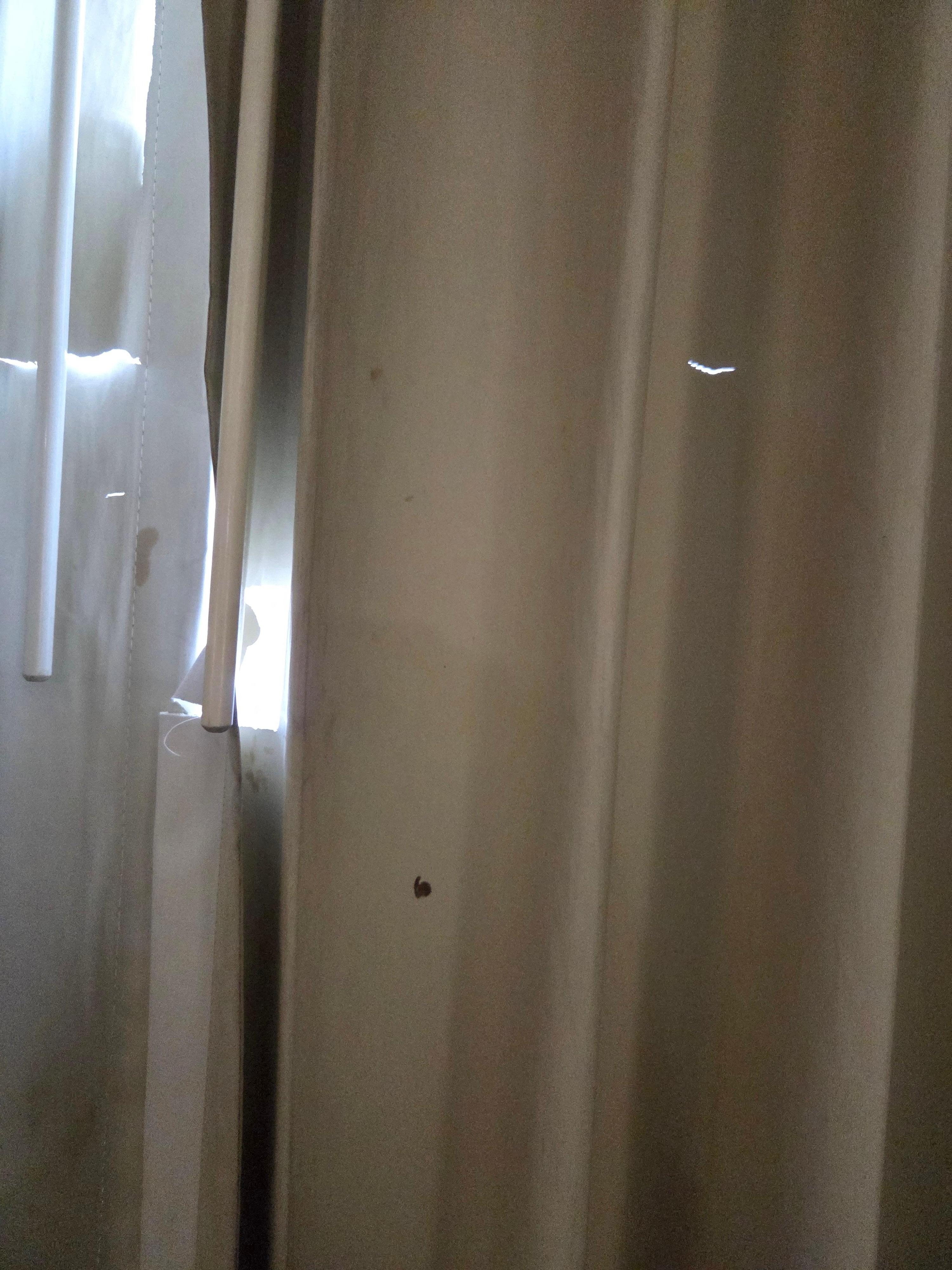 Ripped window shades and bugs on window