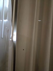 Ripped window shades and bugs on window