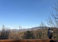 Afternoon view from the deck