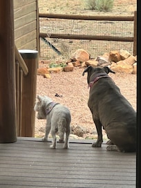 Molly and Franny enjoying the views.