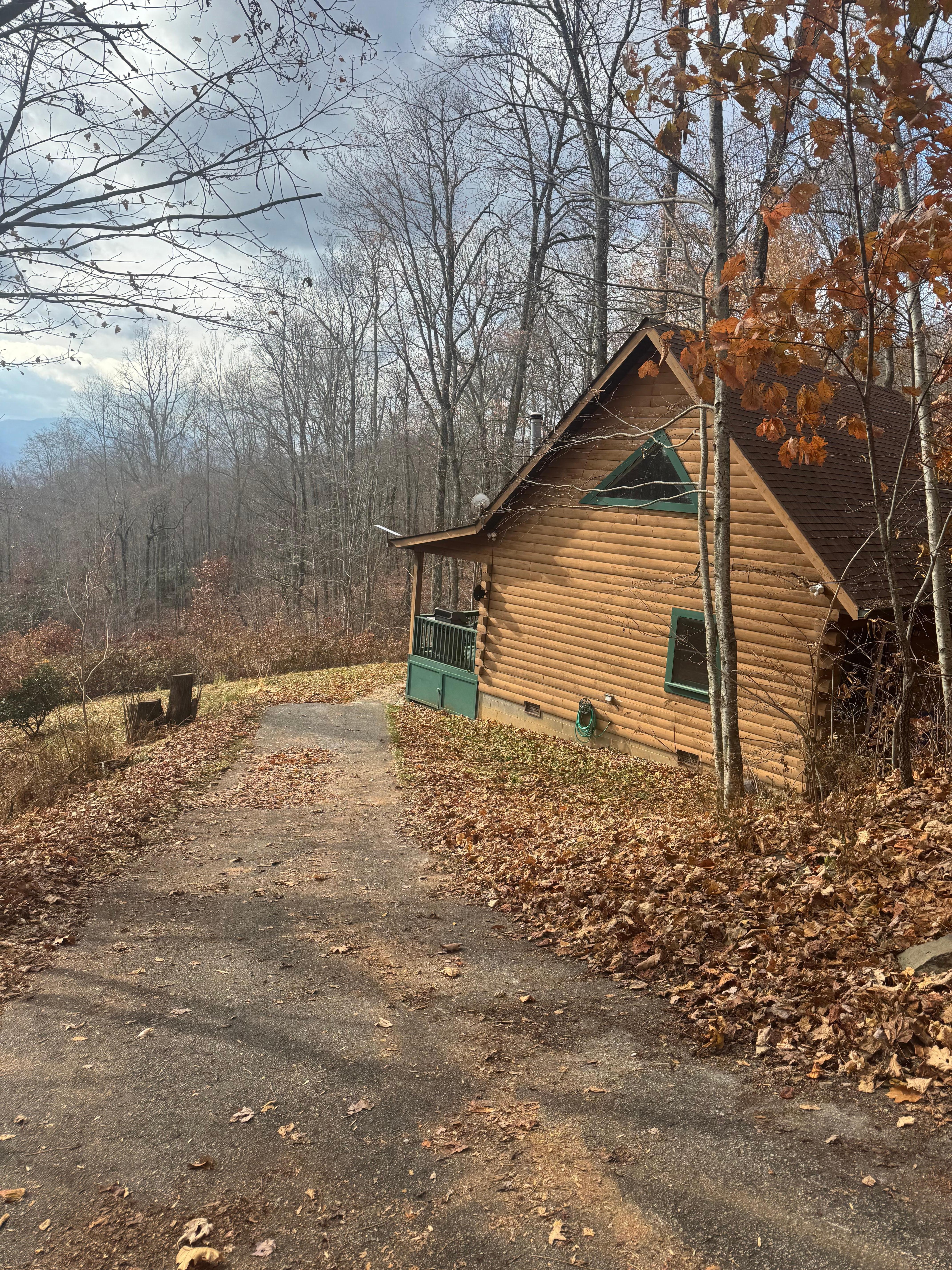 Looking down the driveway to the cabin. 