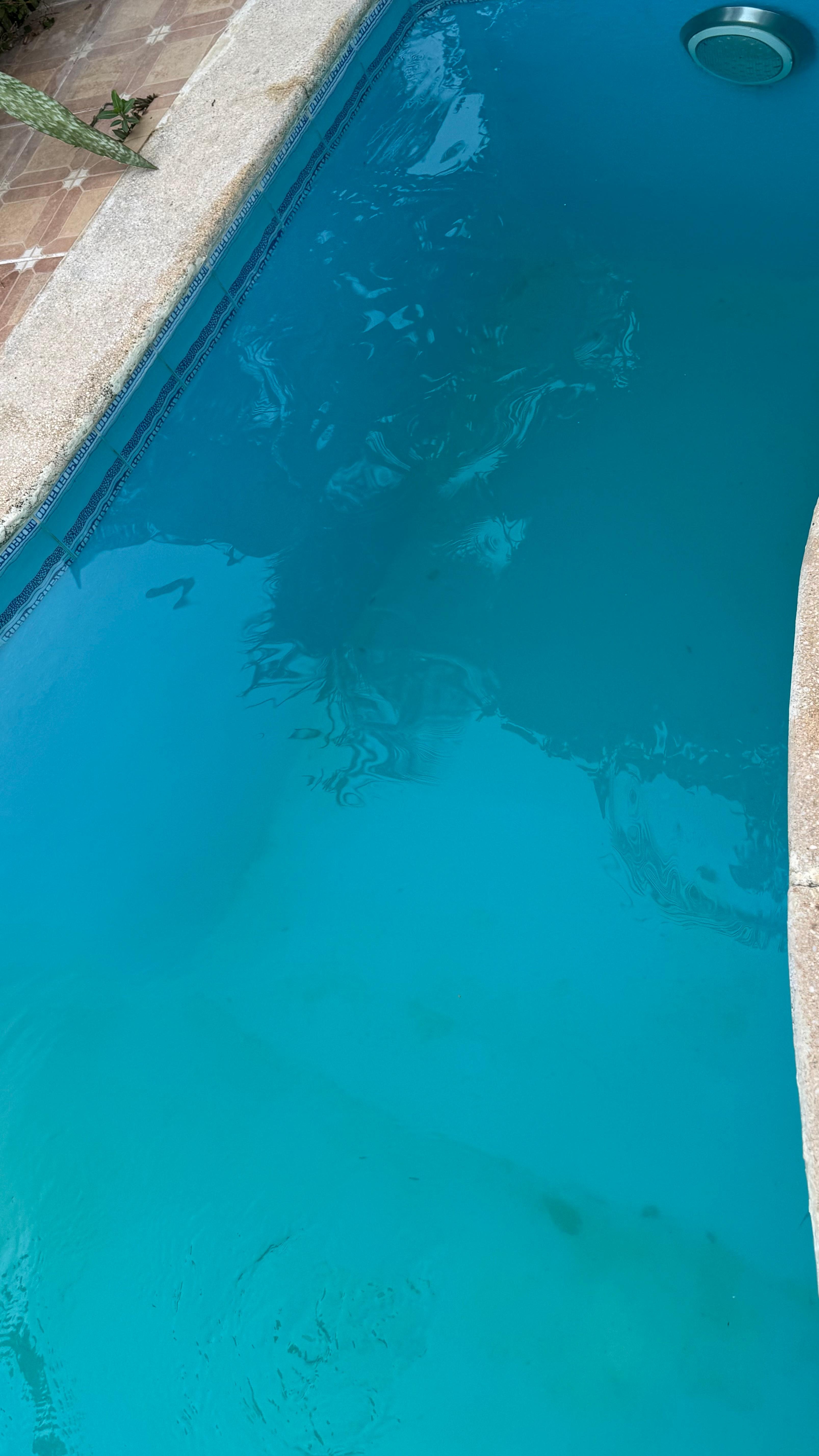 This pool was too full making it very deep for people with average height 