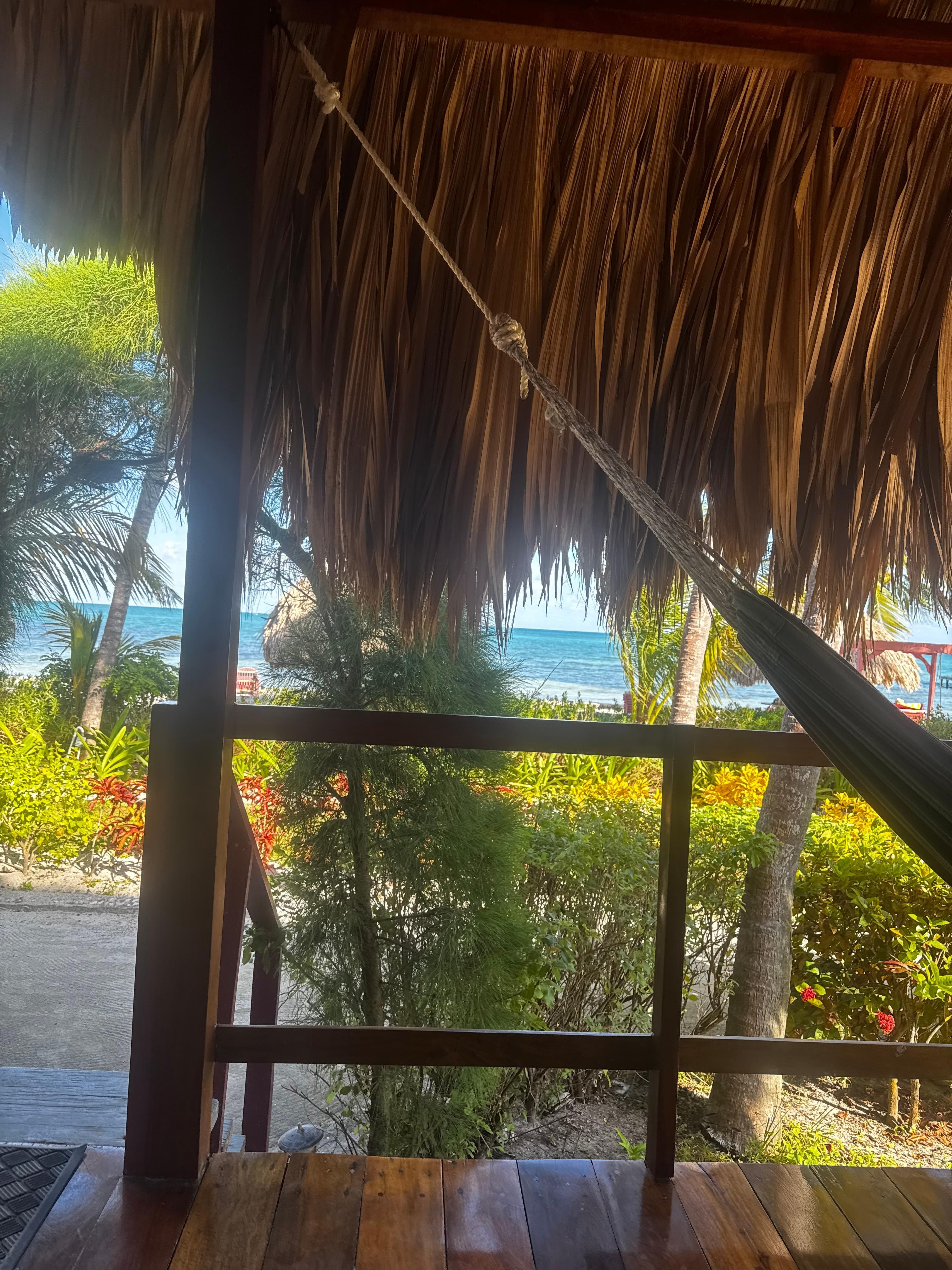 View from out bungalow 