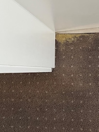 Der Teppichboden ist leider sehr dreckig.