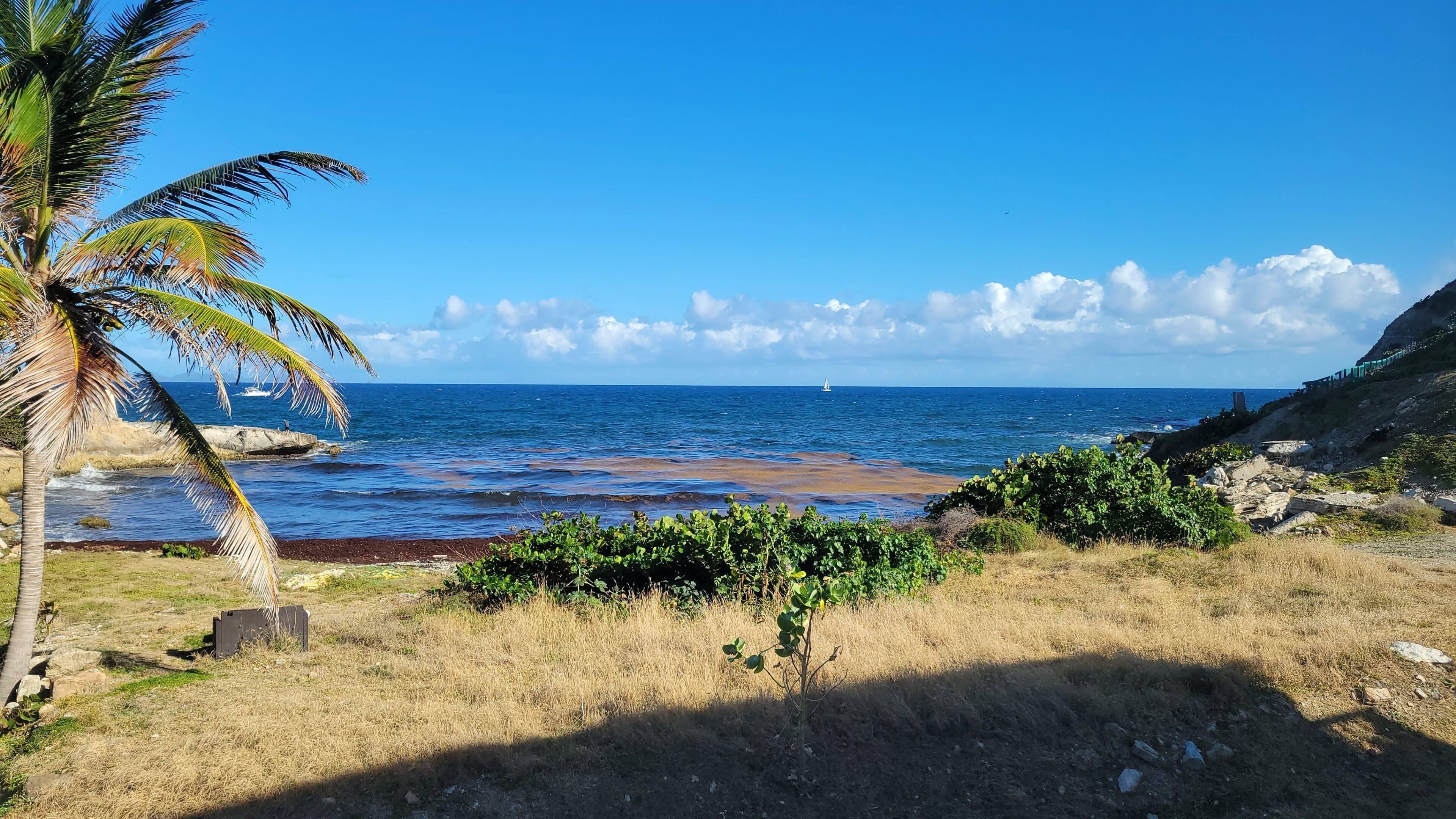 View from inside home.
