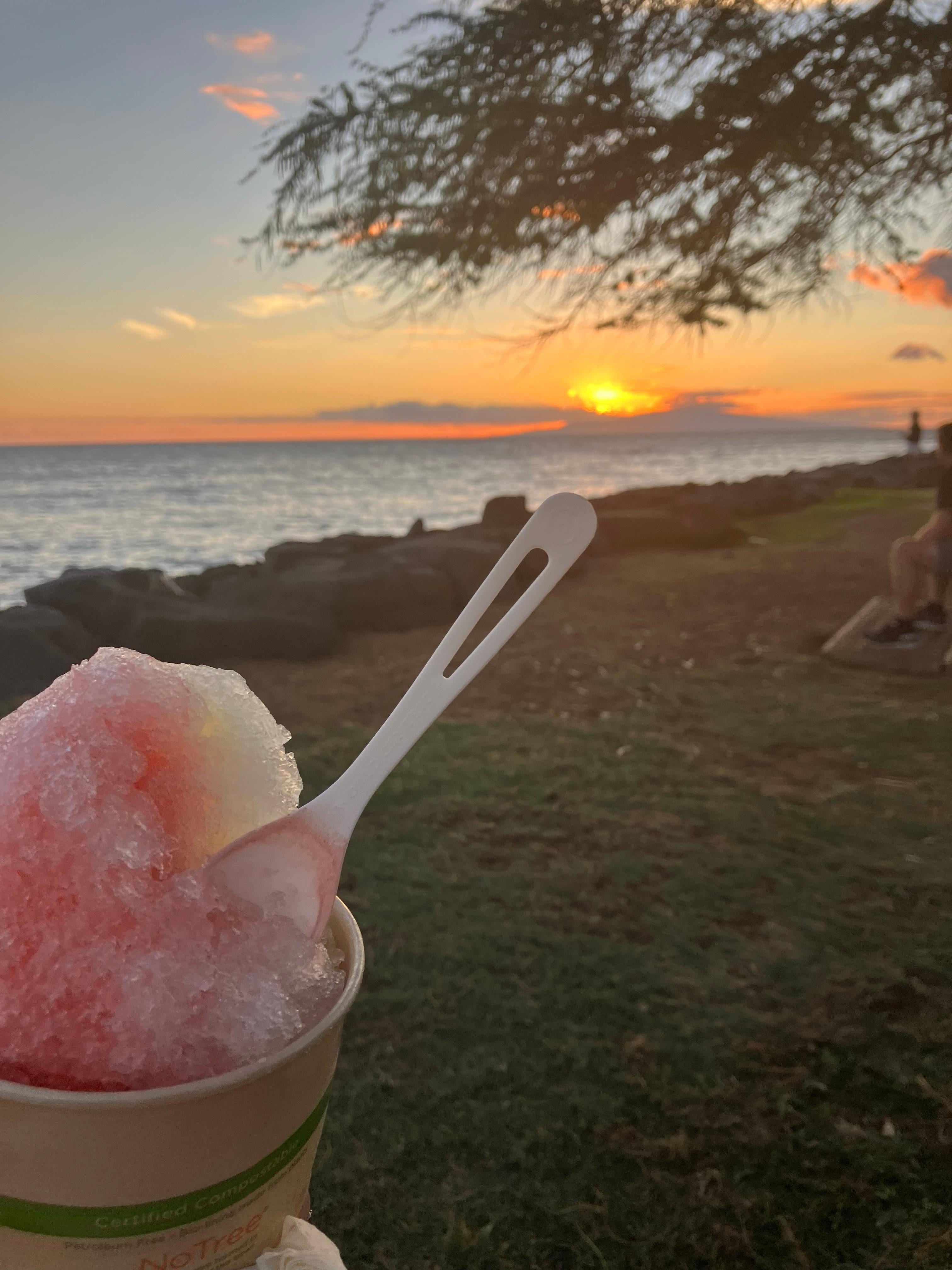 At the park across the street
