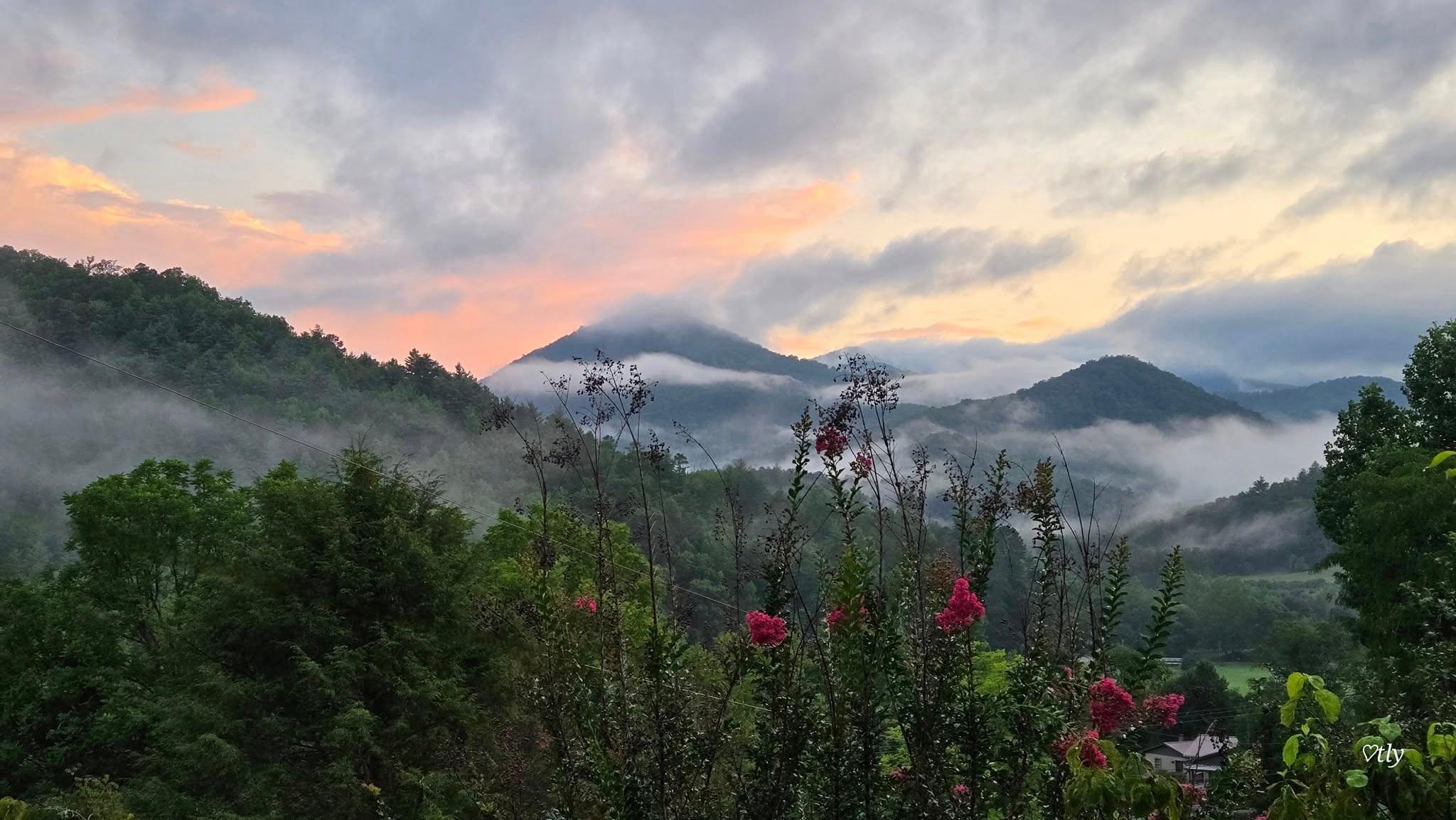 View from the deck- sunset