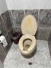 Disgusting toilette