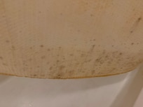Moldy shower curtain.