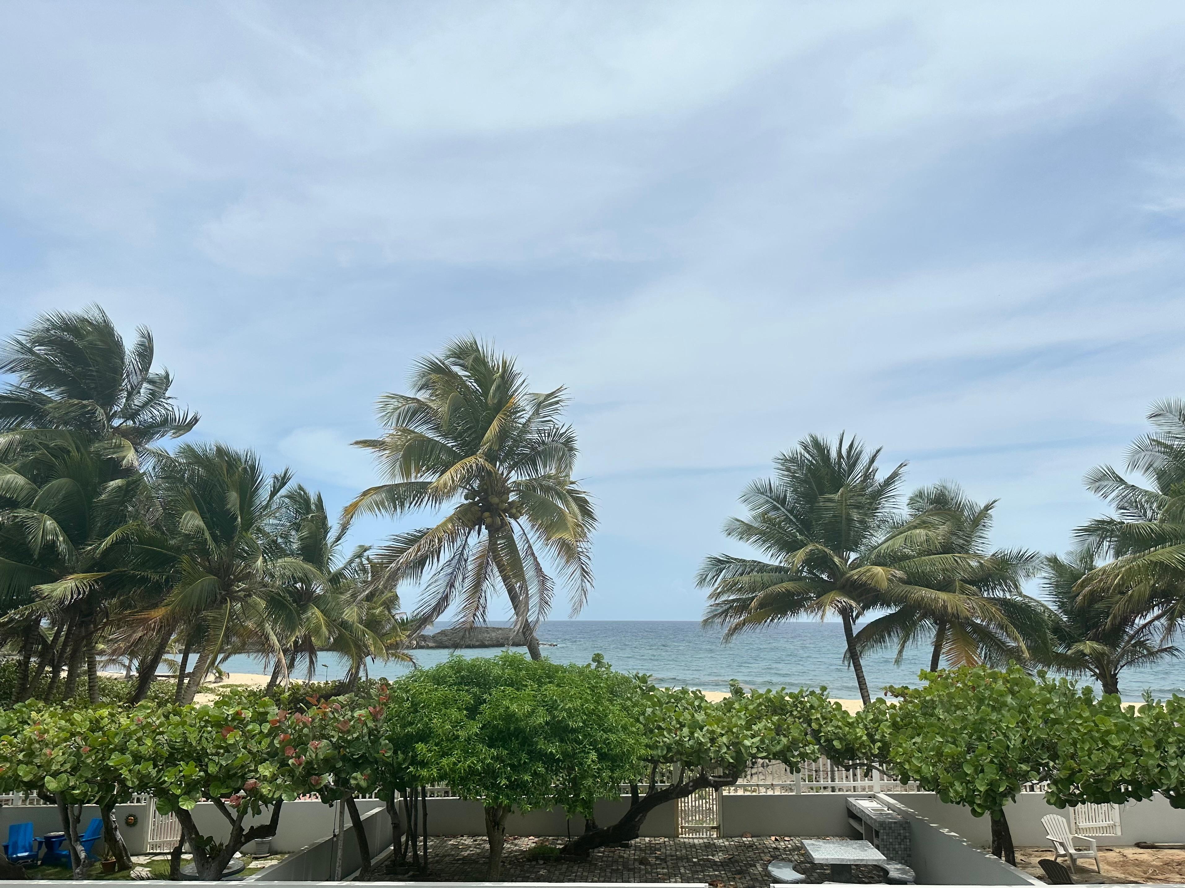 View from inside apartment 