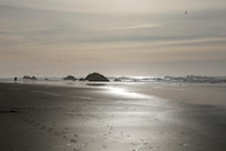 Great walks on the beach.