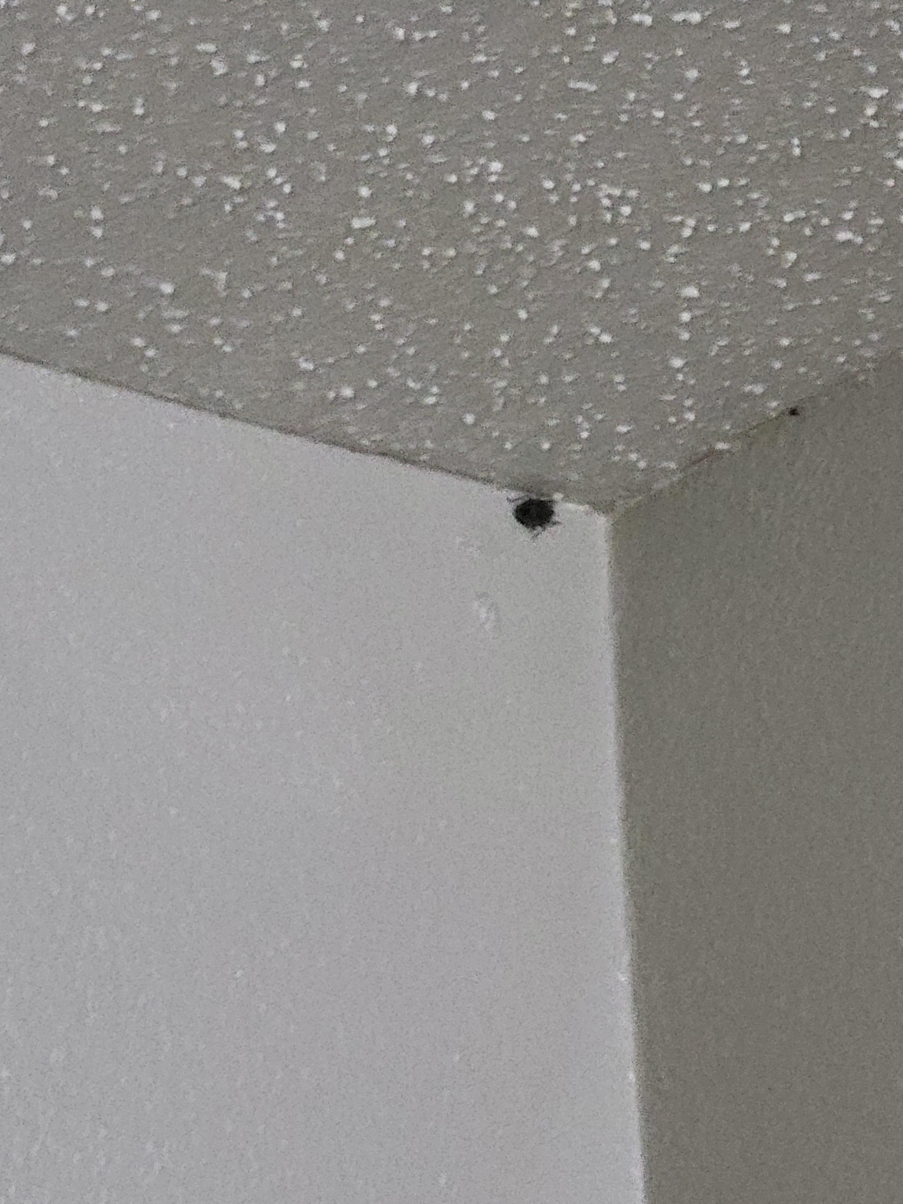 I will put these in Google reviews if I don't get my refund 