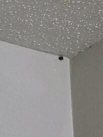 I will put these in Google reviews if I don't get my refund